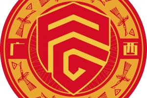 体坛：广西平果曾豪赌中超，最终倒在财务与战绩的双重困境